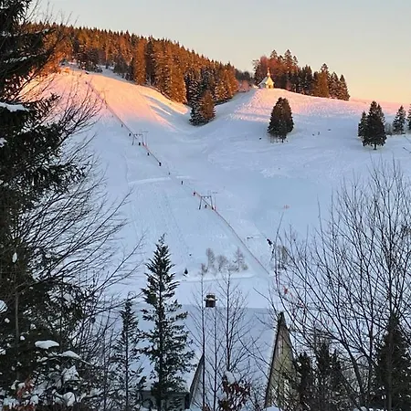 Hébergement de vacances Berghaus Hintermatt, Todtnauberg